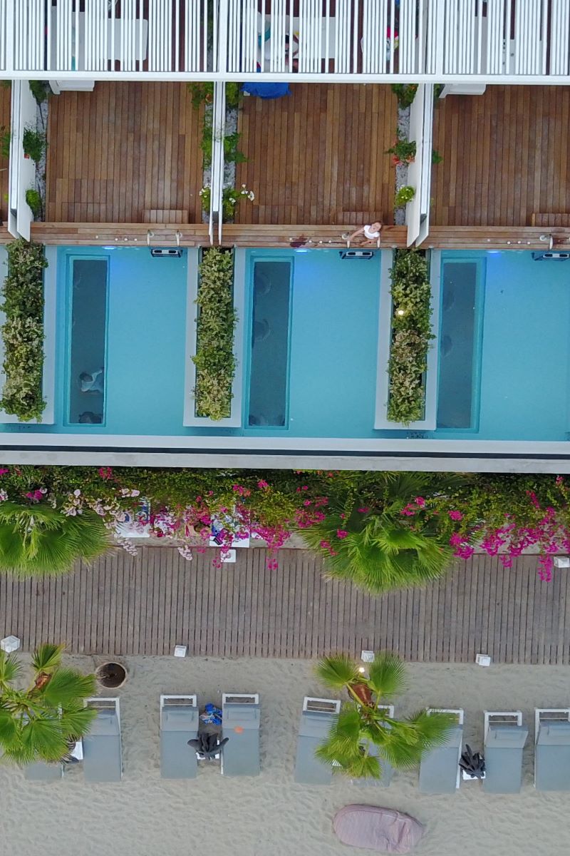 DOVE EXTERIORS 2.