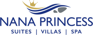 logo nanaprincess